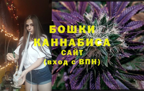 PSILOCYBIN Алексеевка